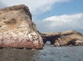 Millions of birds make home at the rock cliffs, and deposit guano at Ballestas Islands Peru