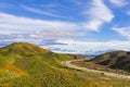 Millions of California Poppies in Walker Canyon / Lake Elsinore, California