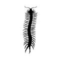 Millipede insect black silhouette animal