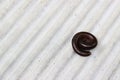 Millipede rolls on the cement floor as the background. Royalty Free Stock Photo