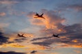 Millitary airplane in the blue sky