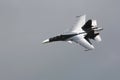 Millitary supersonic fighter, on the gray sky