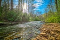 Mills River in Pisgah National Forest North Carolina Royalty Free Stock Photo