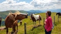 Millstaettersee - A woman in a pink pullover and laughing at the horse, which laughs back at her. A heard of horses graze Royalty Free Stock Photo