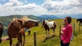 Millstaettersee - A woman in a pink pullover and laughing at the horse, which laughs back at her. A heard of horses graze Royalty Free Stock Photo