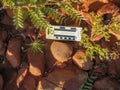 Archaeology - Millstone in situ