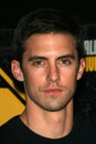 Milo Ventimiglia Royalty Free Stock Photo