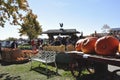 Pumpkins ready for sale on a farm with a display of big pumpkin Royalty Free Stock Photo