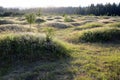 Mima Mounds at Dusk