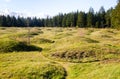 Mima Mounds Natural Area Preserve Royalty Free Stock Photo