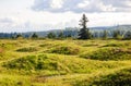 Mima Mounds Natural Area Preserve Royalty Free Stock Photo