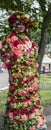 Mime girl in bright flowers