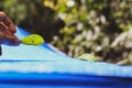 Green leaf mimic katydid at the Amazon rainforest in Leticia, Colombia Royalty Free Stock Photo