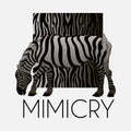 Mimicry. Vector hand drawn illustration of zebra with animalistic background isolated.