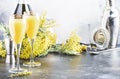 Mimosa alcohol cocktail with orange juice and cold dry champagne or sparkling wine in glasses, gray bar counter background with