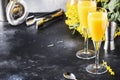 Mimosa alcohol cocktail with orange juice and cold dry champagne or sparkling wine in glasses, gray bar counter background with