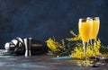 Mimosa alcohol cocktail with orange juice and dry champagne or sparkling wine in glasses, blue background, copy space