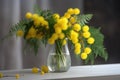 mimosa blooms in delicate glass vase