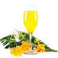 Mimosa cocktail with bubbly champagne and orange juice on white background