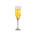 Mimosa Cocktail in champagne flute glass. Summer aperitif recipe with orange juice and prosecco. Mixology minimalist