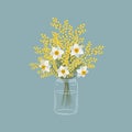 Mimosa and daffodils in a glass jar. Yellow and white flowers with leaves. Spring flowers