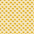 Mimosa flower is pattern of round fluffy yellow blossom. Geometric polka dot pattern made of natural flowers.