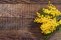 Mimosa flowers on wood background