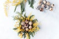 Mimosa fluffy flowers  and easter quail eggs and acacia dealbata yellow brunch on white Royalty Free Stock Photo