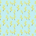 Mimosa seamless pattern Royalty Free Stock Photo