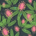 Mimosa Seamless Pattern_eps Royalty Free Stock Photo