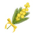 Mimosa sprig with yellow ribbon bow
