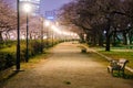 Minami Temma park at night time