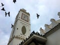 Minaret and birds of Djama`a al-Djedid Royalty Free Stock Photo