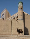 Minaret and camel