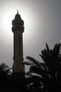 Minaret and date tree silhouette in bahrain