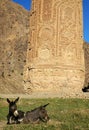 The Minaret of Jam, a UNESCO site in central Afghanistan. Showing base of the tower and two donkeys. Royalty Free Stock Photo