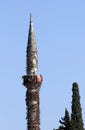 Minaret of Koprukoy Mosque in Yuregir, Adana Royalty Free Stock Photo