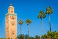 Historic minaret and palm trees Royalty Free Stock Photo