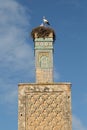 Minaret and storks