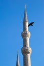 Minarets against blue sky and bird Royalty Free Stock Photo