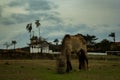 Minas Gerais is known for its historic towns, and Milho Verde, Minas Gerais, is not far behind with its beautiful bucolic scenery