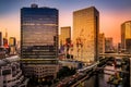 Minato Ward buildings and Tokyo Tower Royalty Free Stock Photo