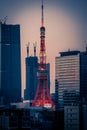 Minato Ward buildings and Tokyo Tower Royalty Free Stock Photo