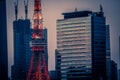 Minato Ward buildings and Tokyo Tower Royalty Free Stock Photo