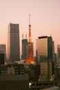 Minato Ward buildings and Tokyo Tower Royalty Free Stock Photo