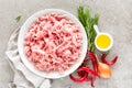 Mince. Ground meat with ingredients for cooking on light grey background