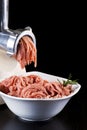 Mince and meat grinder