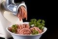Mince and meat grinder