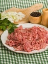 Minced meat Royalty Free Stock Photo