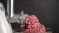 Minced meat comes out of a meat grinder.